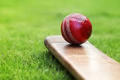 खुला क्रिकेटमा जाजरकोट र योङ्गस्टार विजयी